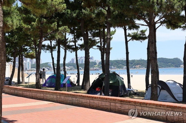 폭염중대경보가 발효된 1일 경북 포항시 북구 영일대해수욕장 방풍림 그늘에서 피서객이 텐트를 치고서 쉬고 있다. (연합)