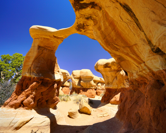 Devil's Garden 2018-6-4th